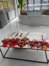 嘉泰物業(yè)|端午節(jié)，揚(yáng)帆日，一“粽”定乾坤！